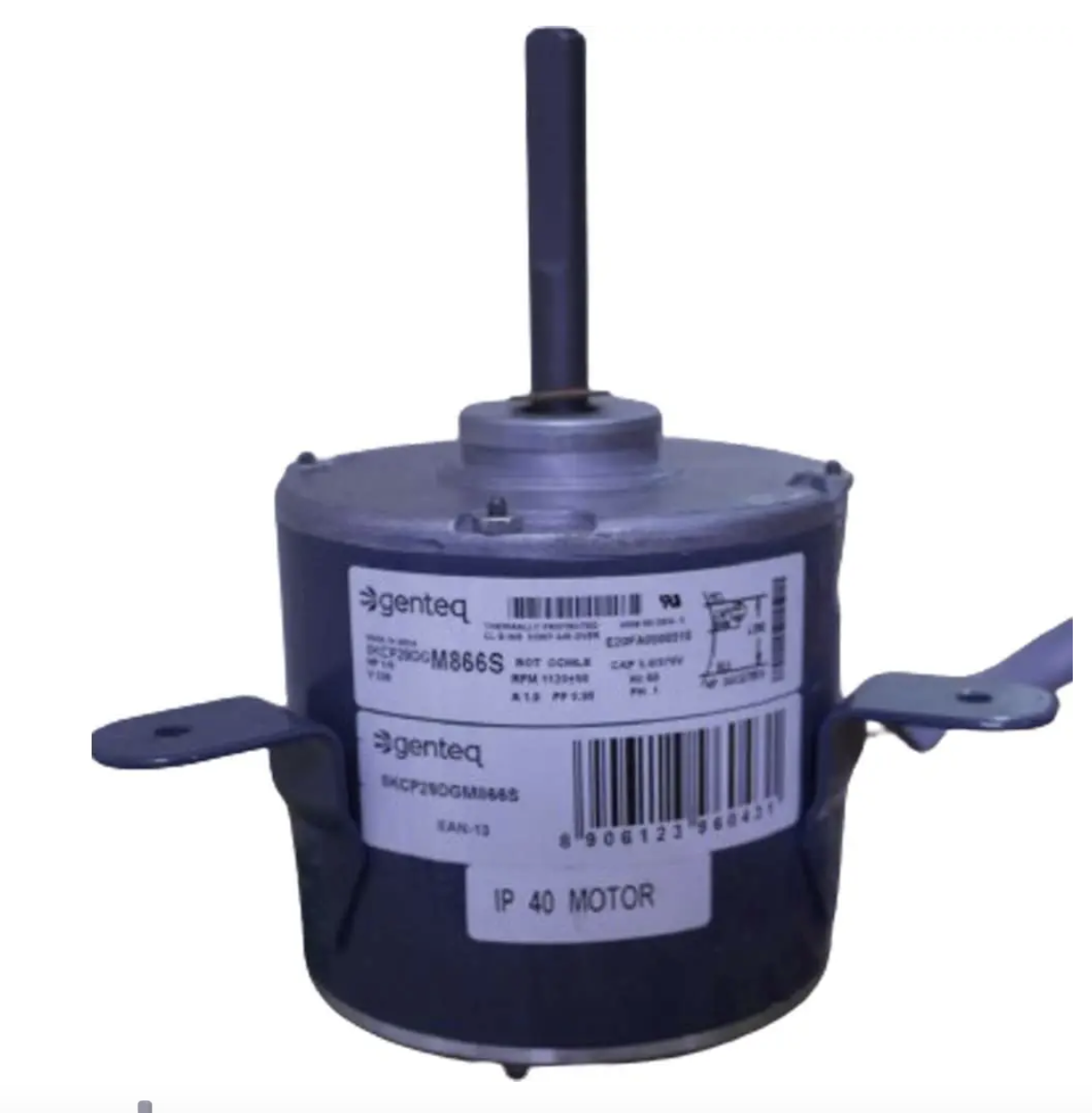 Genteq Electric Motor HP 1/8 with Capacitor 5 RPM 1120+-50